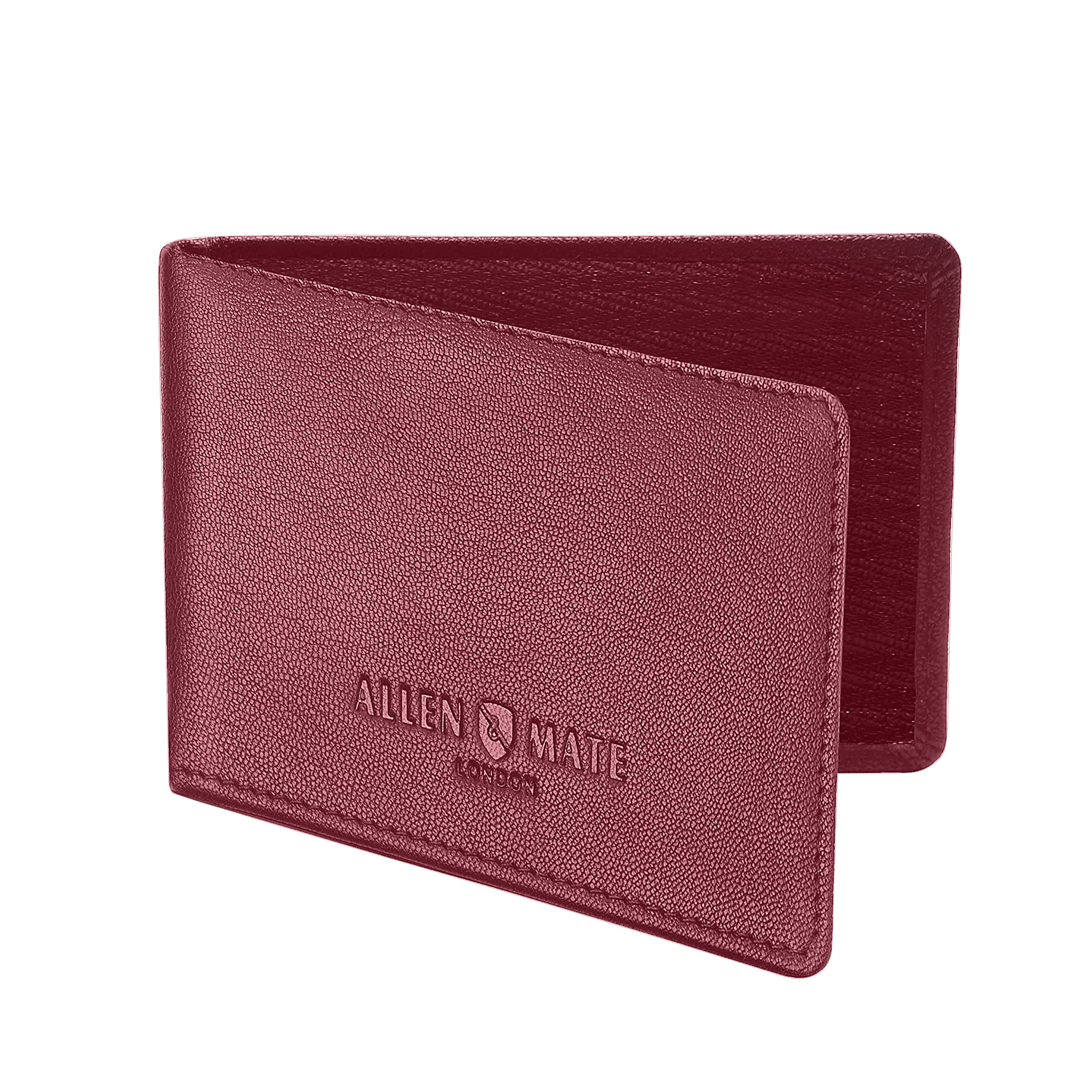 Travel pass Holder