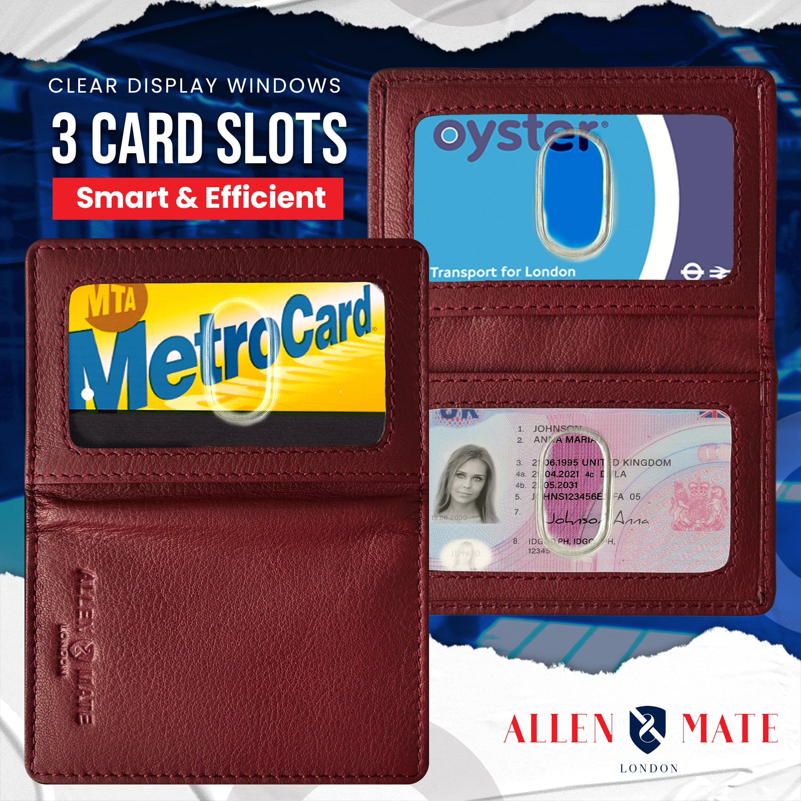 Travel pass Holder