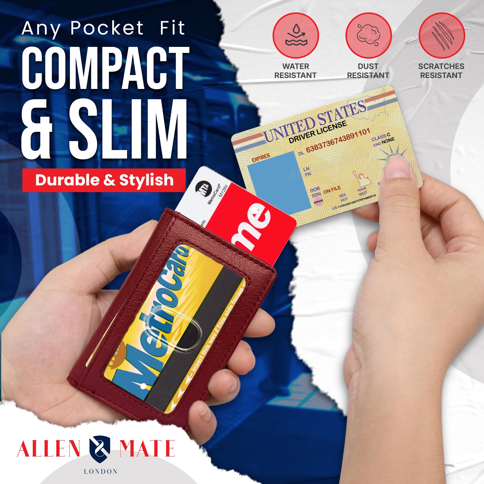 Travel pass Holder